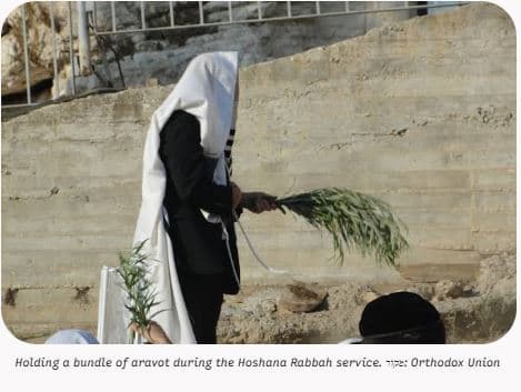 beating the aravot