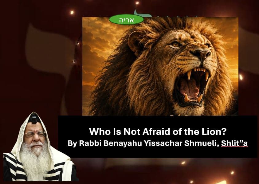 who is not afraid of the Lion?